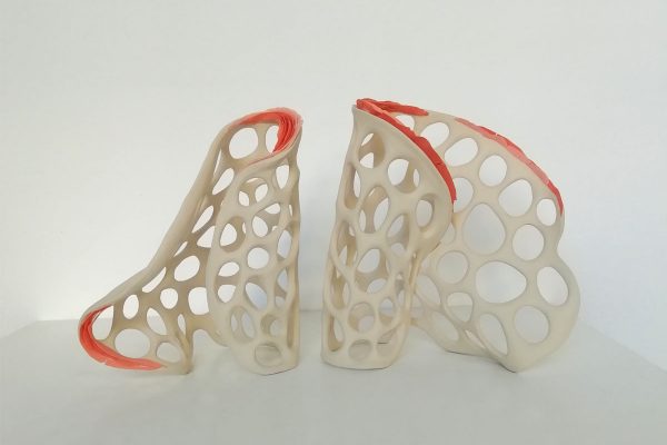 “Natura plàstica II”