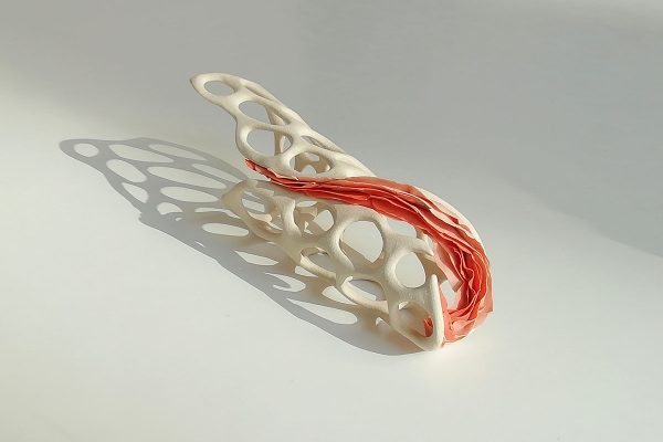 “Natura plàstica I”